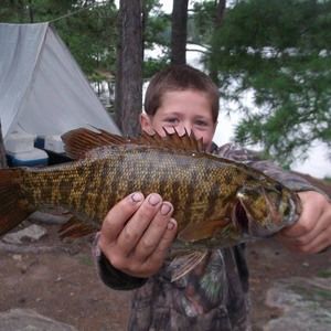 Meet your Posher, Catherine